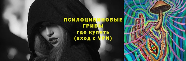 ГАЛЛЮЦИНОГЕННЫЕ ГРИБЫ Нефтегорск