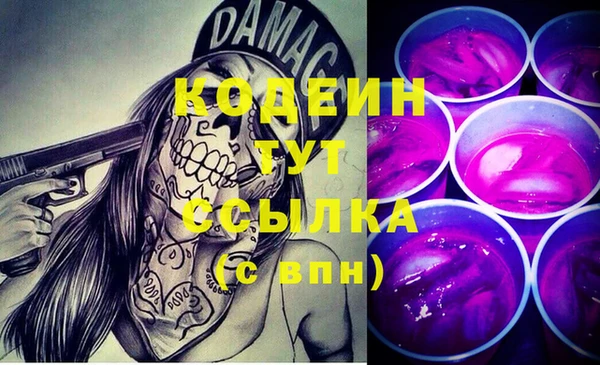 стаф Новодвинск