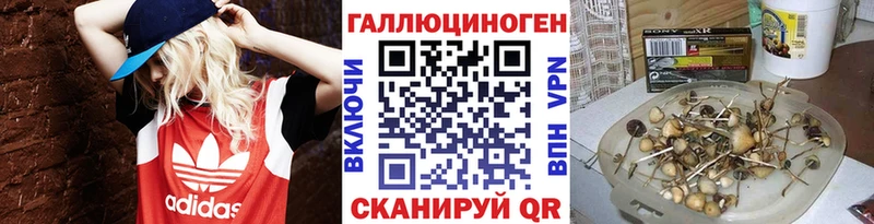 hydra ссылки  Кола  Псилоцибиновые грибы Psilocybine cubensis 